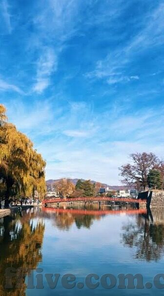 韩国对日本足球比分-韩国vs日本，一场跨越东海的足球宿命对决，比分背后是三十年的恩怨情仇