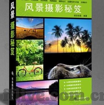 足球其他赛果比分-足球世界，赛果比分的多元画卷与背后故事